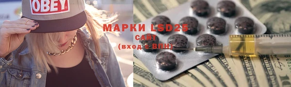 гашик Верея