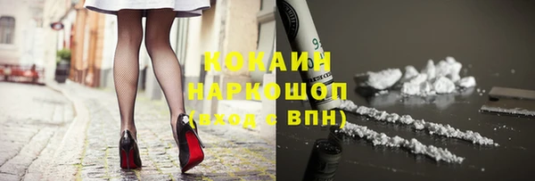 гашик Верея