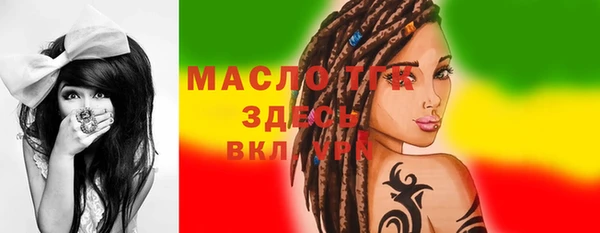 гашик Верея