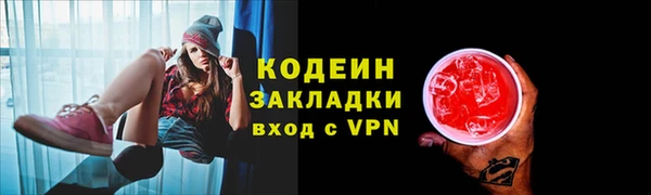 гашик Верея