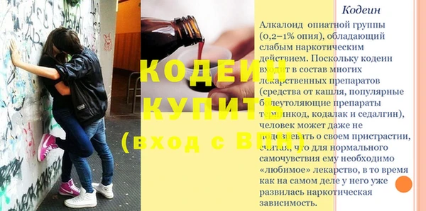 гашик Верея