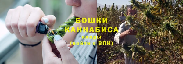 гашик Верея