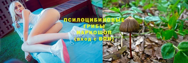 гашик Верея